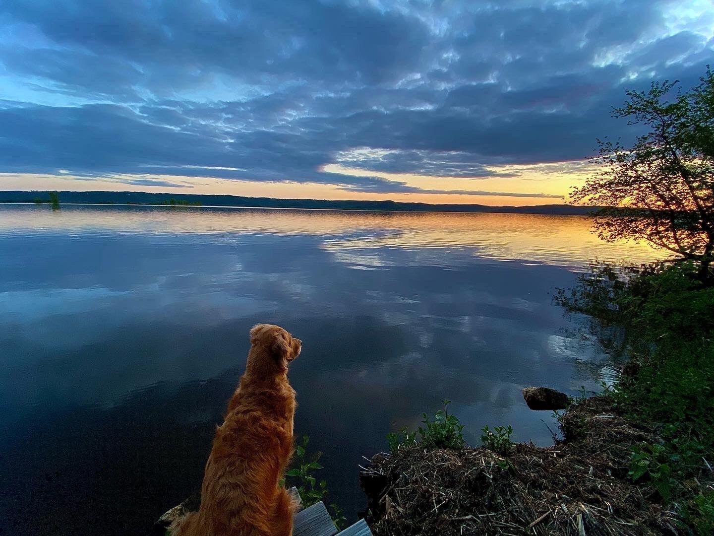 Doggone beautiful